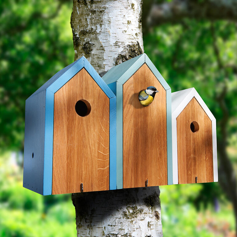 Drei Nistkästen in Hausform, aus Holz mit bunten Akzenten, an einem Baum angebracht.