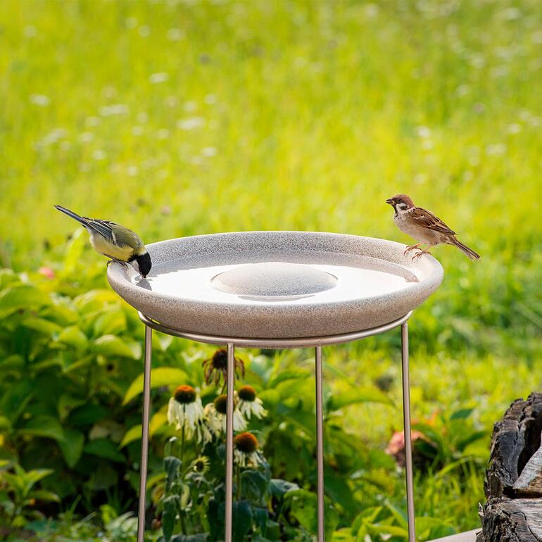 Vogeltränke aus Granicium mit Edelstahl-Ständer, ein Grünfink und Spatz trinken Wasser.