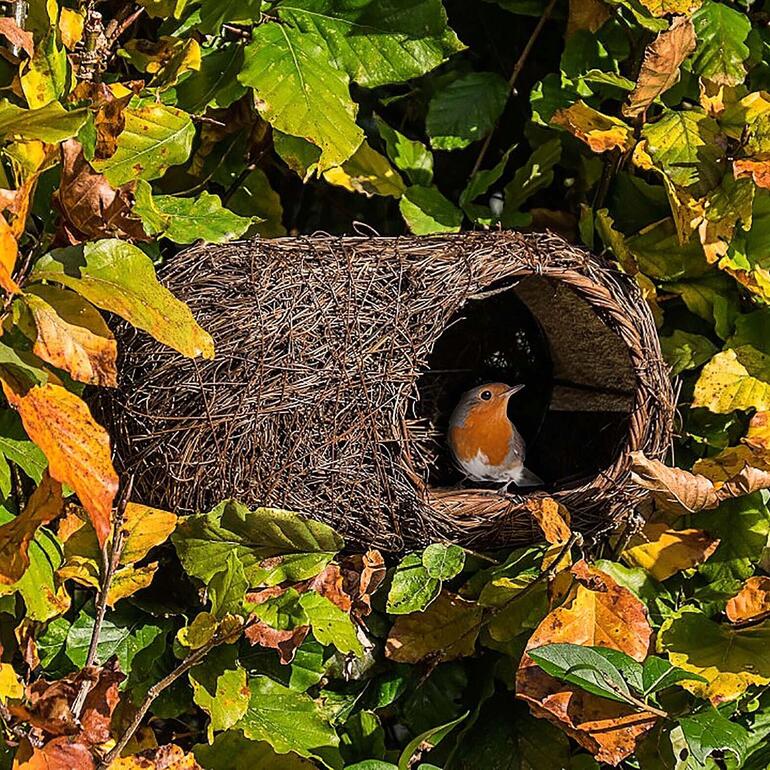 Vogelnest aus Naturmaterialien zwischen buntem Laub.