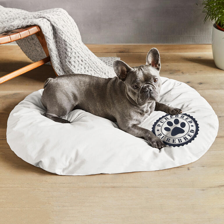 Hund in einem weißen Kissen mit Pfotenmotiv.