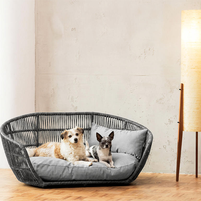 Zwei Hunde auf einem Design-Hundebett in modernem Raum