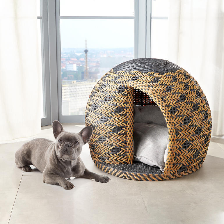 Hund vor einem runden Tierhaus aus geflochtenem Material, in einem modernen Raum.
