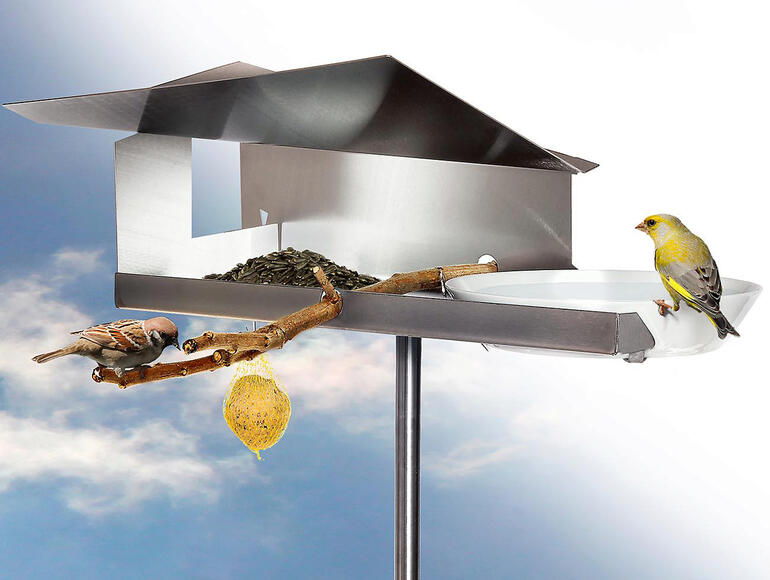 Vogelhaus mit zwei Spatzen und einer Futterstation, auf einem Ast und Himmel