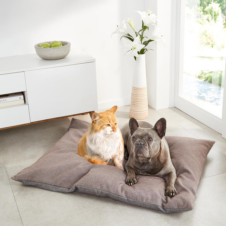 Kissen für Haustiere mit einem Hund und einer Katze darauf