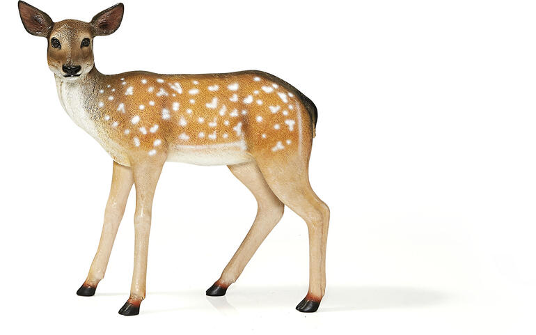 Stehendes Damhirschkalb mit braunem Fell und weißen Flecken.