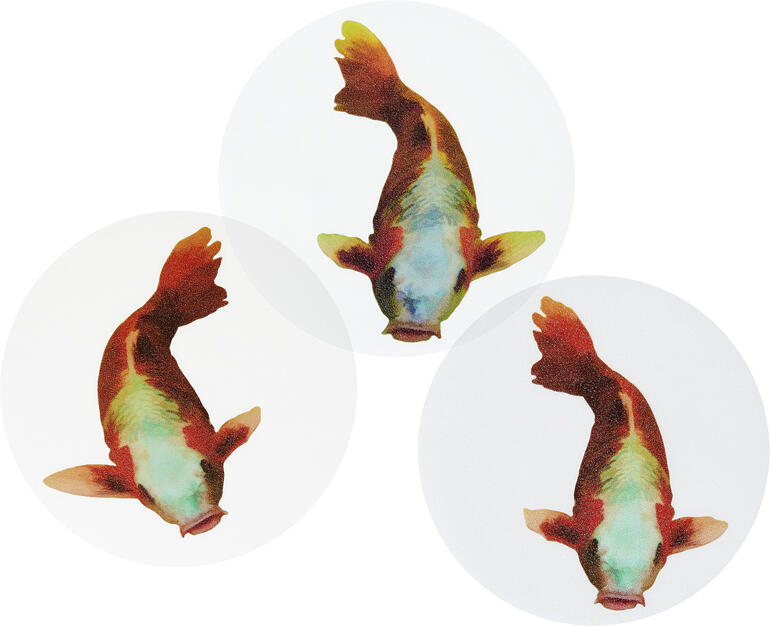 Nahaufnahme von drei rutschfesten Koi-Tattoos auf hellem Hintergrund.