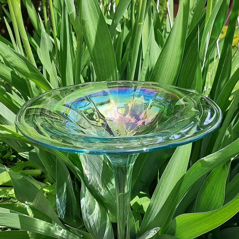 Regenbogenglas-Vogeltränke inmitten von hohen Pflanzen.