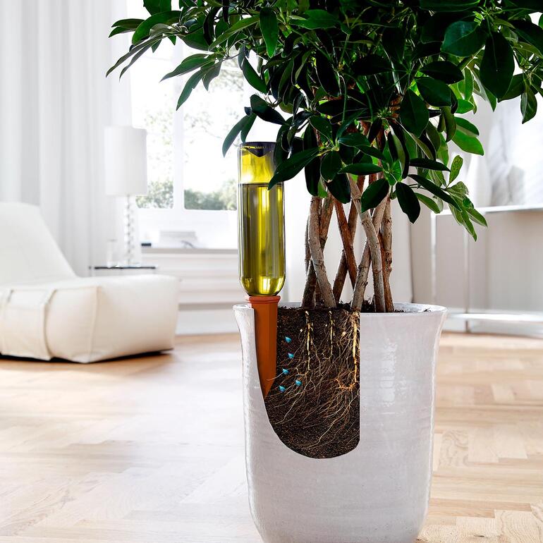 Tonkegel in einem Blumentopf mit Pflanze