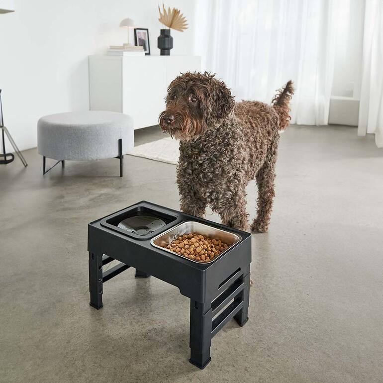Schwarzer Vario-Hundenapf mit einem Hund, der darauf wartet zu fressen.