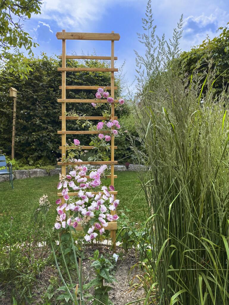 Stabile Holzrankhilfe im Garten, umgeben von blühenden Pflanzen.
