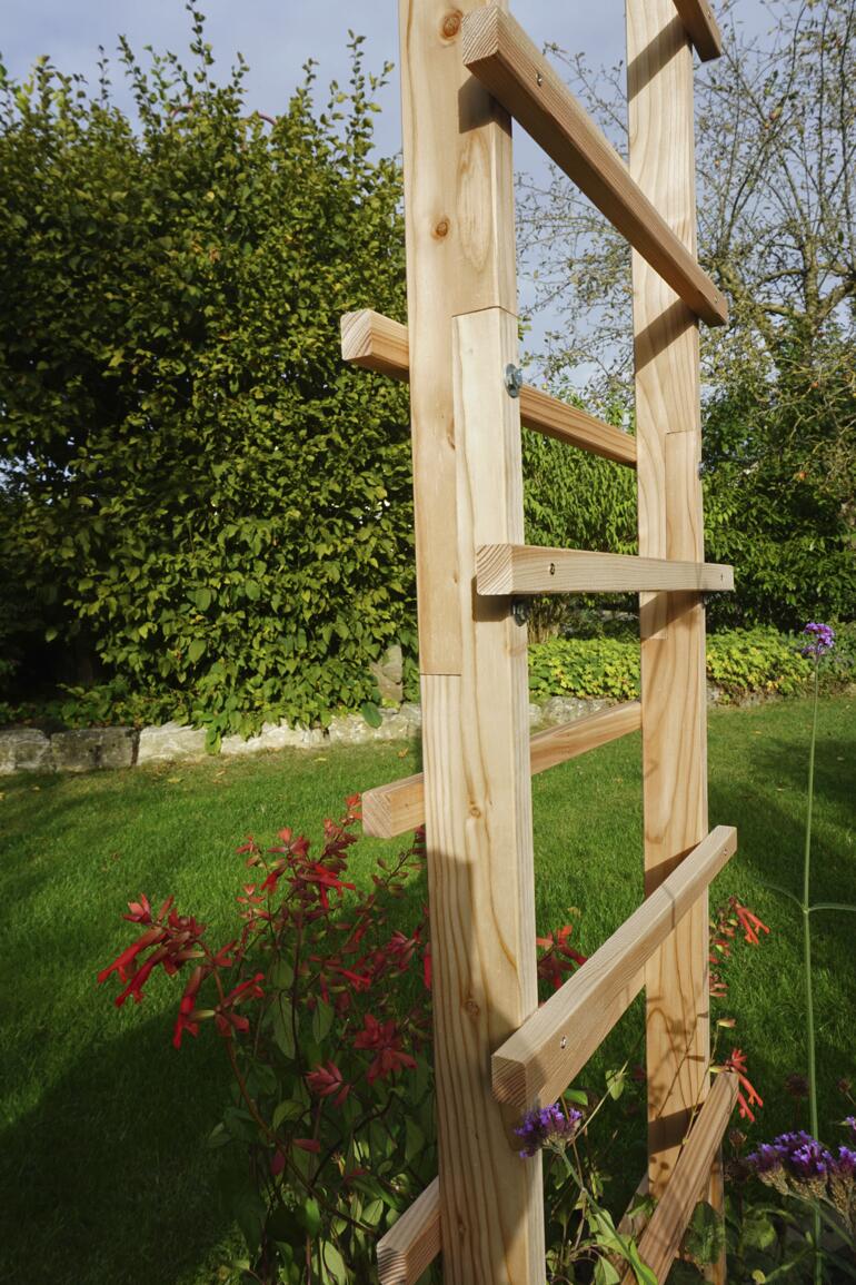 Die Querstreben aus Lärchenholz werden abwechselnd vorne und hinten angebracht – so können sich Ranken optimal hochhangeln. Nahaufnahme der stabilen Holzrankhilfe, Holzmaterial in natürlicher Umgebung.