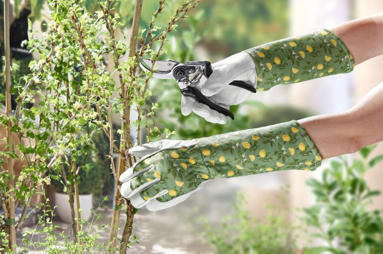 Damen-Gartenhandschuhe mit Schneidewerkzeug in der Hand