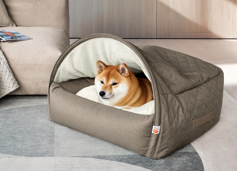 Shiba Inu in einer stylischen Kuschelhöhle aus grauem Stoff