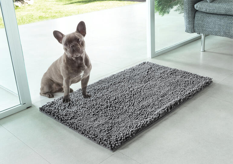 Hunde auf einer Haustier-Schmutzmatte vor einer Glastür.