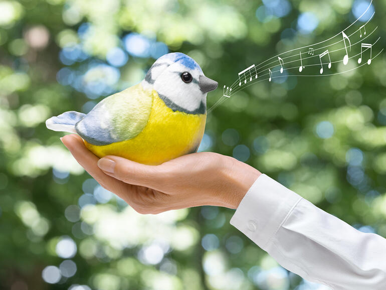 Plüschweich gefertigt, mit authentischem Gezwitscher. Blaumeise in Hand, die ein Lied zwitschert.