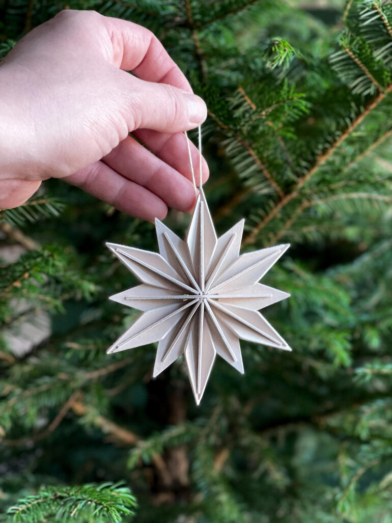 Hand hält einen DIY Holzstern vor einem grünen Weihnachtsbaum.