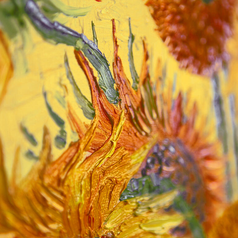 Detail ca. im Massstab 1:3. Nahaufnahme einer Sonnenblume mit lebendigen Farben und Struktur.