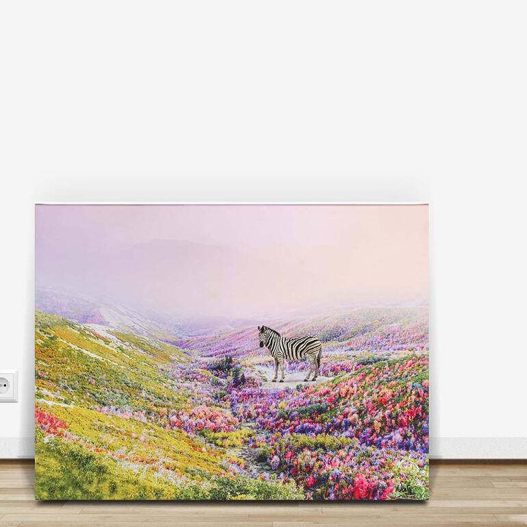Blumenbild mit Zebra in einem modernen Raum
