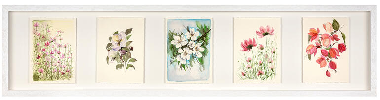 Gerahmte Blumenillustrationen in einer Reihe an der Wand