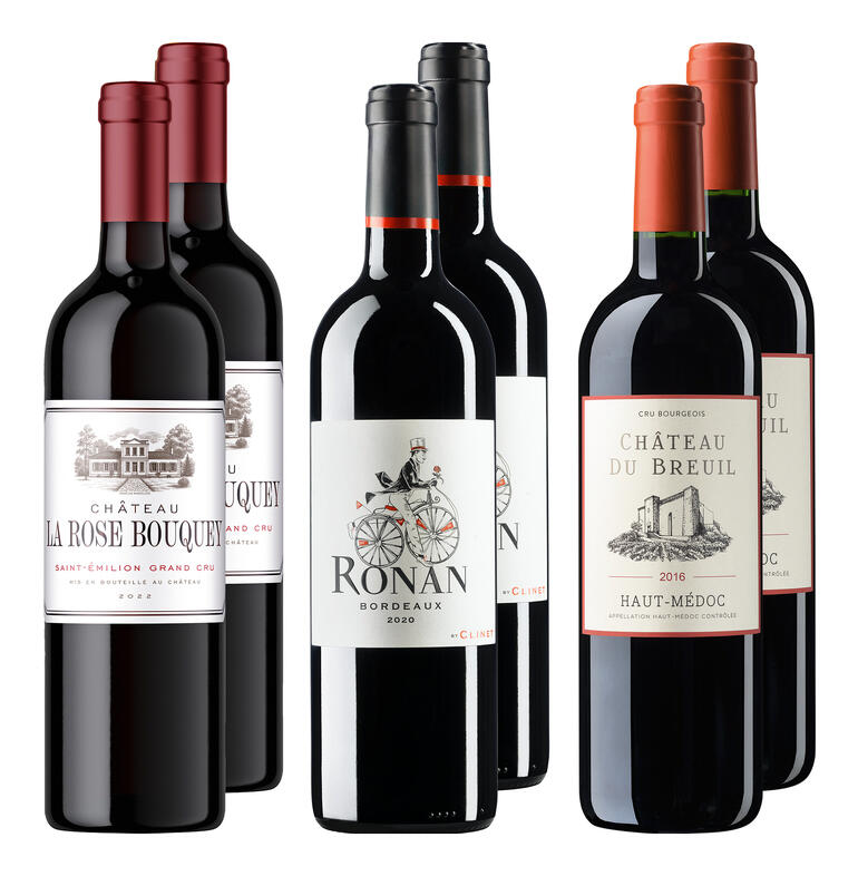 Sechs Flaschen Bordeaux-Wein mit unterschiedlichen Etiketten.