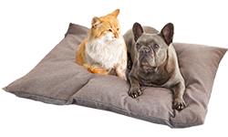 Besondere Geschenke für Pour les amoureux des animaux