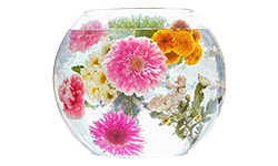 Besondere Geschenke für Pour les reines de la déco